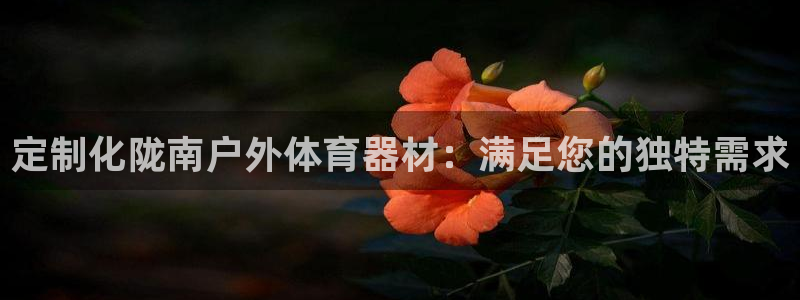 耀世娱乐总代：定制化陇南户外体育器材：满足您的独特需