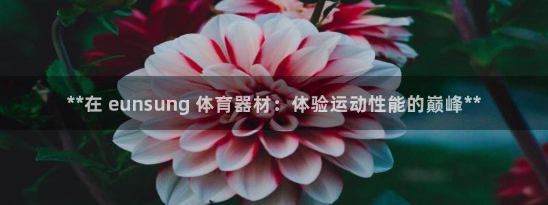 耀世平台升 411O31 耀世：**在 eunsun