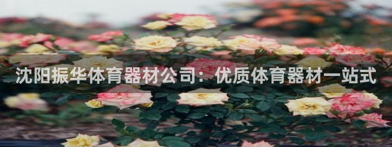 耀世平台注册网址是什么：沈阳振华体育器材公司：优质体