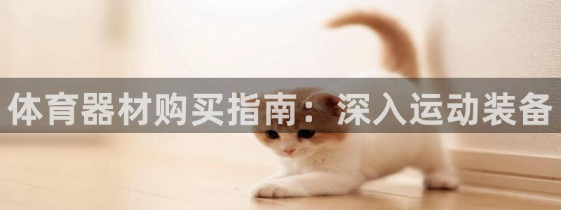 耀世娱乐赢咖APP：体育器材购买指南：深入运动装备