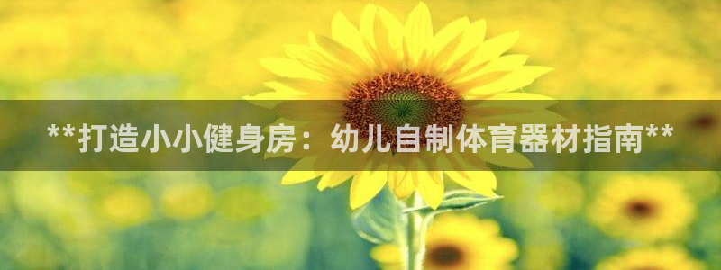 耀世集团董事长简介：**打造小小健身房：幼儿自制体育