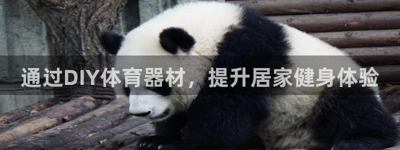 耀世娱乐赢咖6代理：通过DIY体育器材，提升居家健身