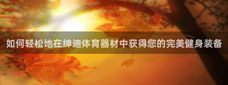 耀世娱乐辅助软件下载：如何轻松地在绅迪体育器材中获得
