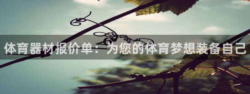 耀世天下的图片：体育器材报价单：为您的体育梦想装备自