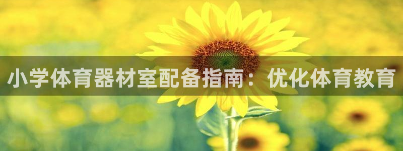 耀世天下图片头像：小学体育器材室配备指南：优化体育教