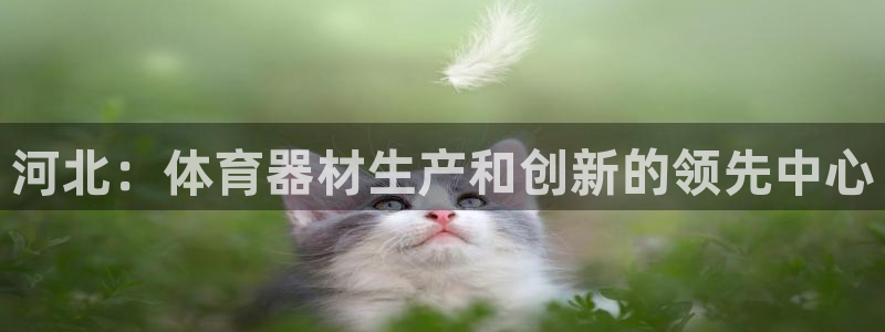 耀世娱乐脚本下载官网：河北：体育器材生产和创新的领先