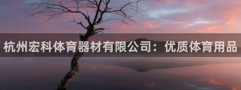 耀世官网：杭州宏科体育器材有限公司：优质体育用品
