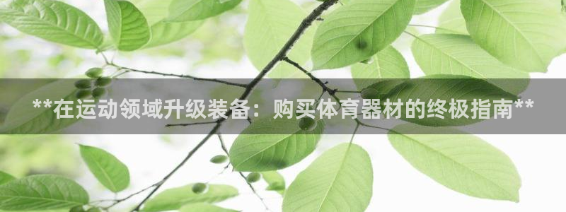 耀世集团王总：**在运动领域升级装备：购买体育器材的