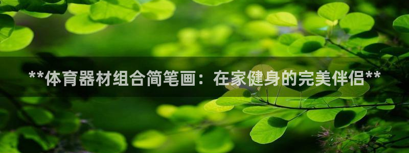 耀世而来：**体育器材组合简笔画：在家健身的完美伴侣