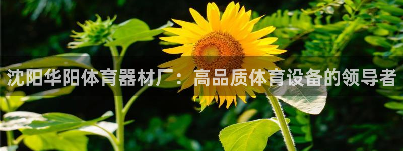 耀世平台荐 5o69I7：沈阳华阳体育器材厂：高品质