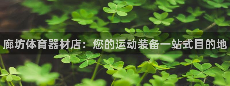 耀世娱乐登录地址在哪：廊坊体育器材店：您的运动装备一