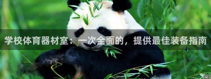 耀世平台注册网址是多少：学校体育器材室：一次全面的，