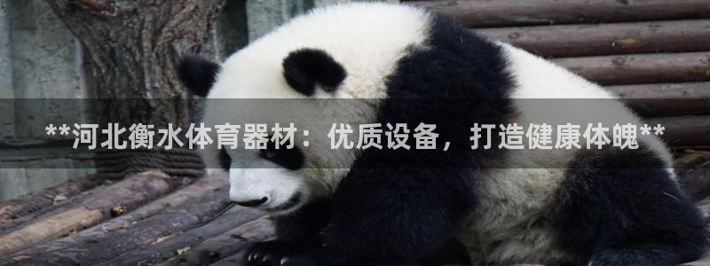 耀世娱乐官网网站：**河北衡水体育器材：优质设备，打