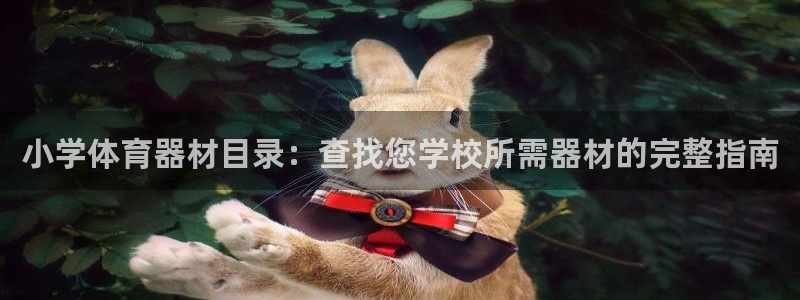 耀世挑战第三关怎么打：小学体育器材目录：查找您学校所
