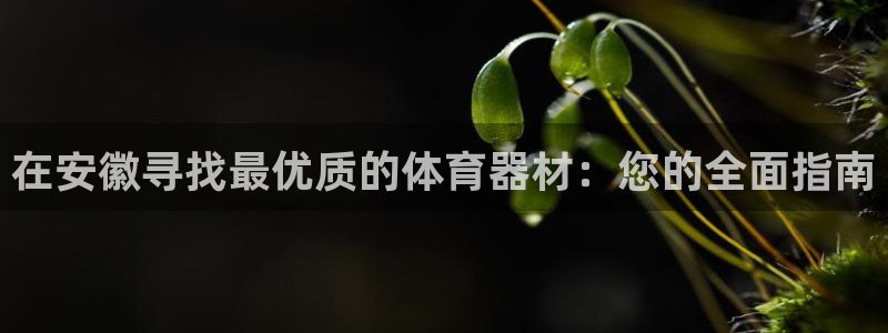 耀世平台开户要求：在安徽寻找最优质的体育器材：您的全