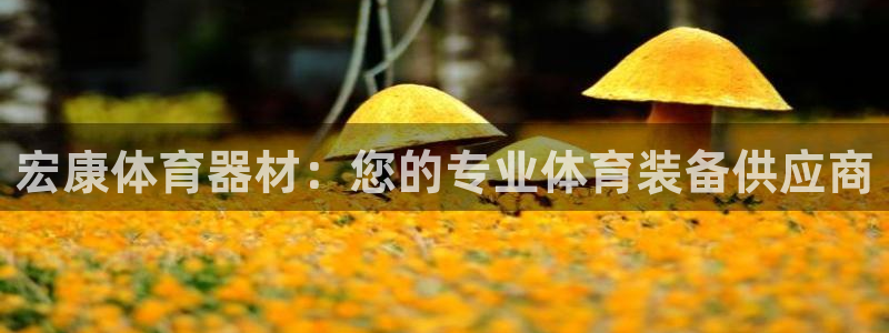 耀世娱乐怎么注册会员：宏康体育器材：您的专业体育装备