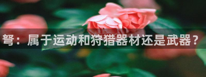 耀世娱乐骗局：弩：属于运动和狩猎器材还是武器？