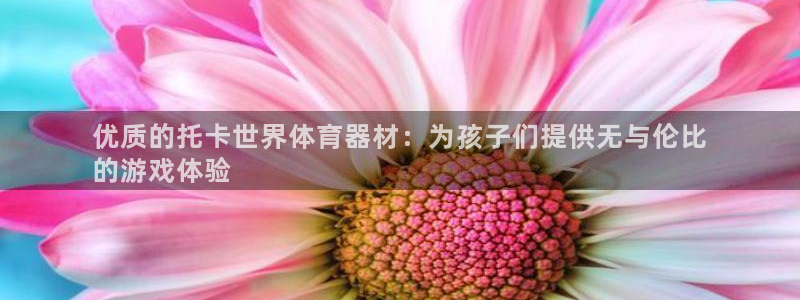 耀世娱乐客服怎么样：优质的托卡世界体育器材：为孩子们