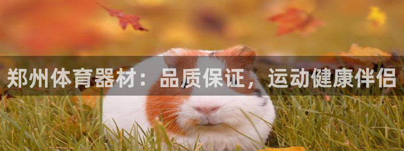 耀世娱乐登录地址在哪：郑州体育器材：品质保证，运动健康伴侣