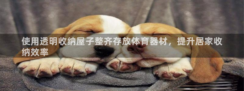 耀世雷霆下载：使用透明收纳屋子整齐存放体育器材，提升