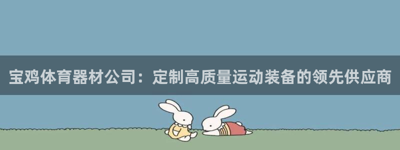 耀世盛典手游下载：宝鸡体育器材公司：定制高质量运动装
