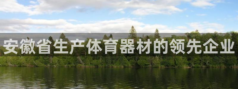 耀世娱乐挂机软件：安徽省生产体育器材的领先企业