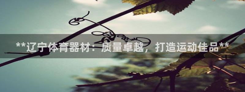 耀世平台有很多登录地址怎么办：**辽宁体育器材：质量
