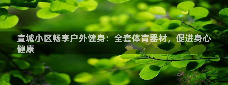 耀世平台人才：宣城小区畅享户外健身：全套体育器材，促