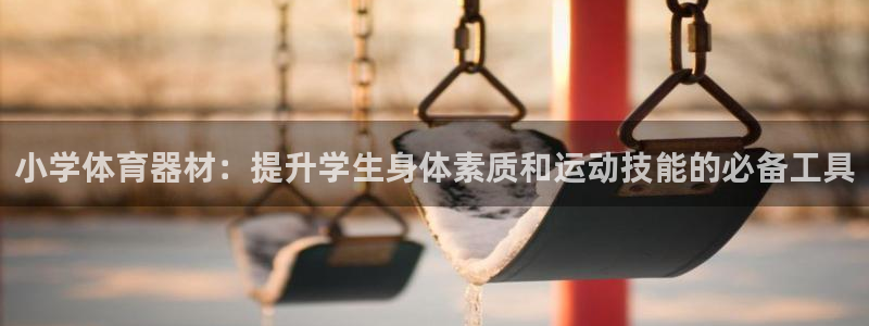 耀世娱乐在线登录官网入口：小学体育器材：提升学生身体