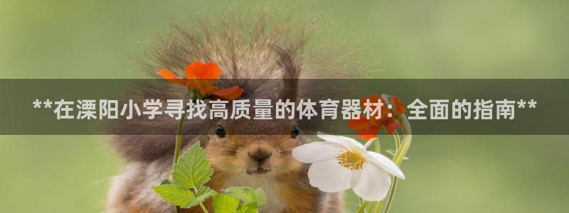 耀世娱乐怎么注册：**在溧阳小学寻找高质量的体育器材
