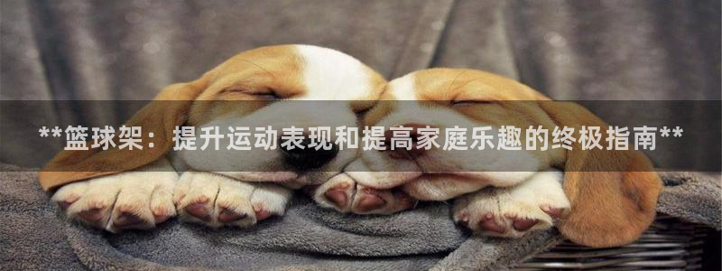 耀世啥意思：**篮球架：提升运动表现和提高家庭乐趣的