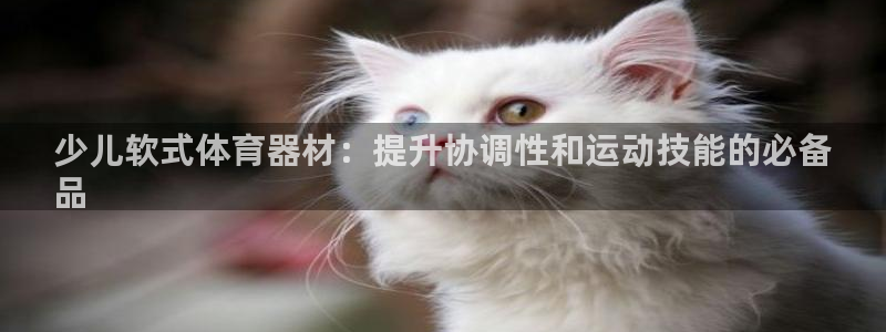 耀世娱乐登入：少儿软式体育器材：提升协调性和运动技能