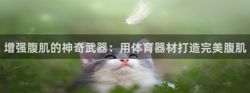 耀世娱乐软件下载官网：增强腹肌的神奇武器：用体育器材