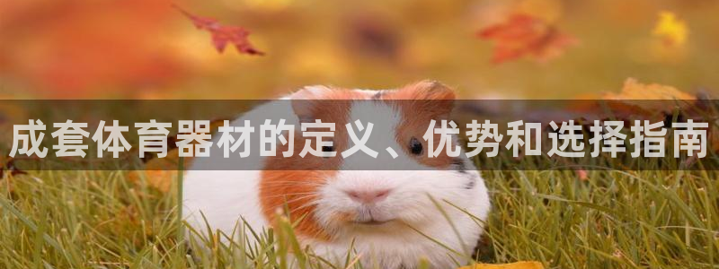 耀世平台云 411o31 耀世：成套体育器材的定义、