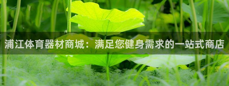 耀世集团视频：浦江体育器材商城：满足您健身需求的一站