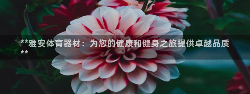 耀世汽车：**雅安体育器材：为您的健康和健身之旅提供