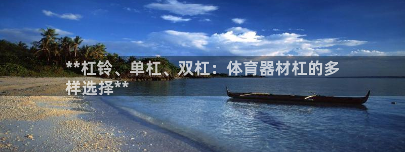 耀世国际平台正规吗安全吗可靠吗：**杠铃、单杠、双杠
