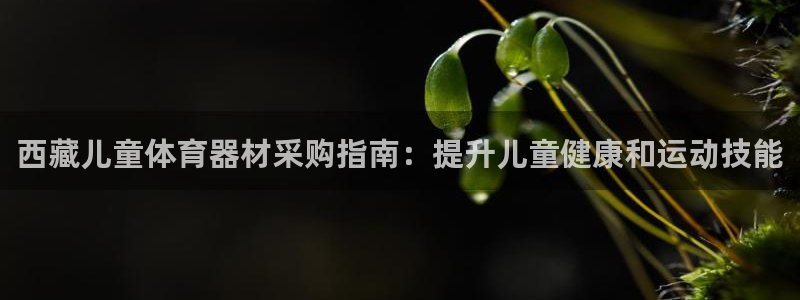 耀世娱乐注册开户：西藏儿童体育器材采购指南：提升儿童