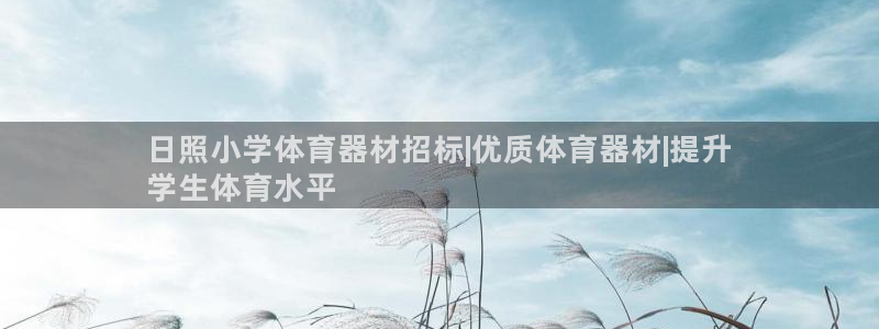 耀世平台注册网址是多少啊：日照小学体育器材招标|优质体育器材