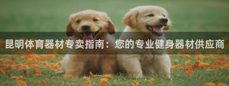 耀世平台代理注册登录失败：昆明体育器材专卖指南：您的