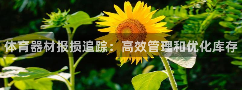 耀世平台注册网址是多少啊：体育器材报损追踪：高效管理