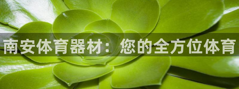 耀世官方网站：南安体育器材：您的全方位体育