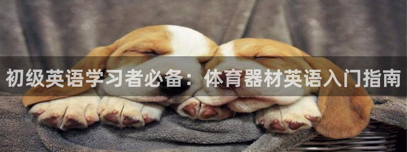耀世娱乐挂机赚钱吗：初级英语学习者必备：体育器材英语