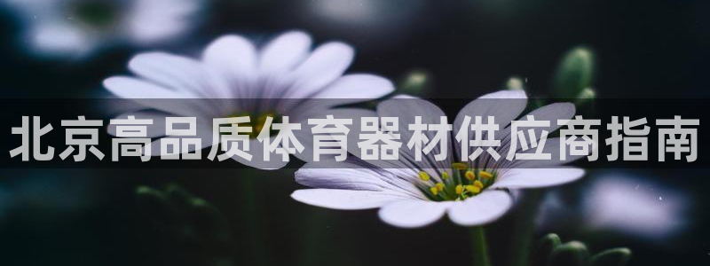 耀世平台负责人怎么样：北京高品质体育器材供应商指南