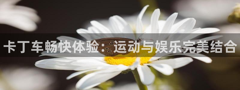 耀世娱乐安全吗可靠吗：卡丁车畅快体验：运动与娱乐完美结合