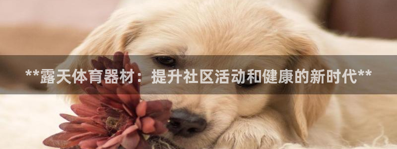 耀世平台产7O777：**露天体育器材：提升社区活动和健康的