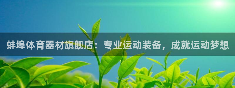 耀世娱乐怎么注册账号：蚌埠体育器材旗舰店：专业运动装备，成就
