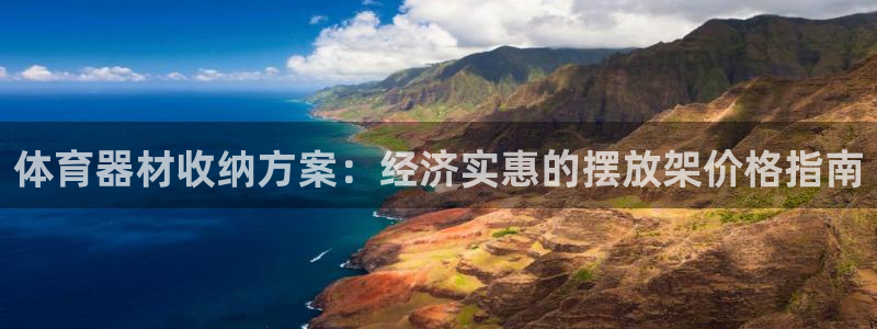 耀世集团商业联盟：体育器材收纳方案：经济实惠的摆放架