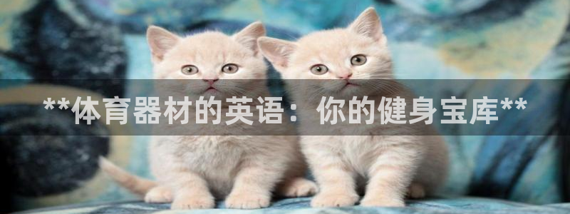 耀世官网注册：**体育器材的英语：你的健身宝库**