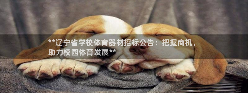 耀世国际平台正规吗可靠吗可信吗：**辽宁省学校体育器